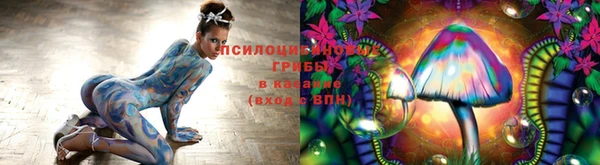 сатива Балабаново