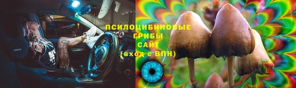 сатива Балабаново