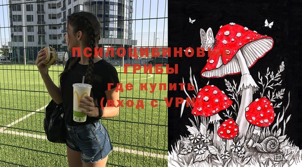 сатива Балабаново