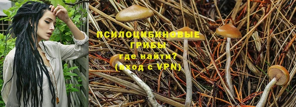 трава Балахна