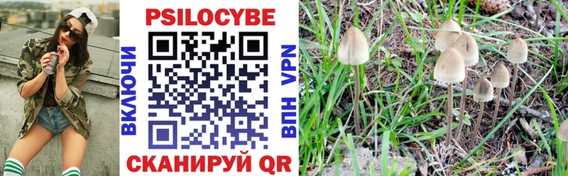 Псилоцибиновые грибы GOLDEN TEACHER  ОМГ ОМГ ссылка  Югорск 